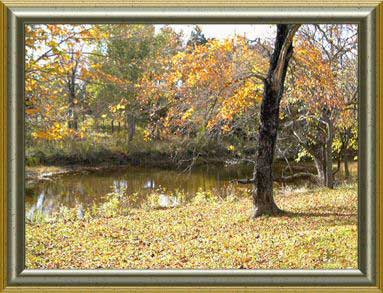 Creek view at Plain & Fancy B&B
