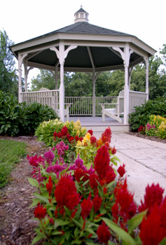 Enjoy swimming in the pool and gazing at our gardens