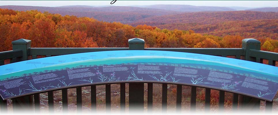Lodging Near Taum Sauk Mountain State Park - Plain & Fancy - Missouri Bed and Breakfast 