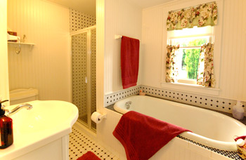 Deep soaking tub and spa shower