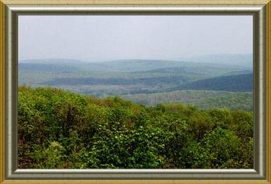 Taum Sauk Mountain view